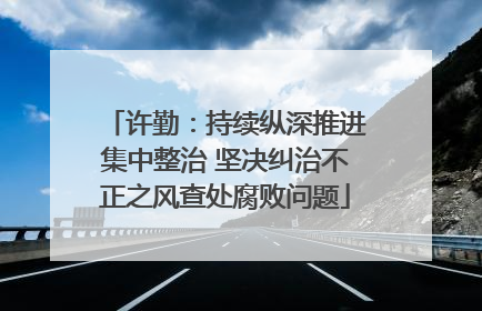 许勤：持续纵深推进集中整治 坚决纠治不正之风查处腐败问题