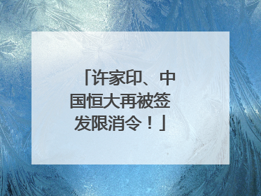 许家印、中国恒大再被签发限消令！