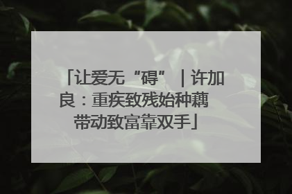 让爱无“碍”｜许加良：重疾致残始种藕 带动致富靠双手