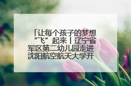 让每个孩子的梦想“飞”起来丨辽宁省军区第二幼儿园走进沈阳航空航天大学开展爱国主义教育