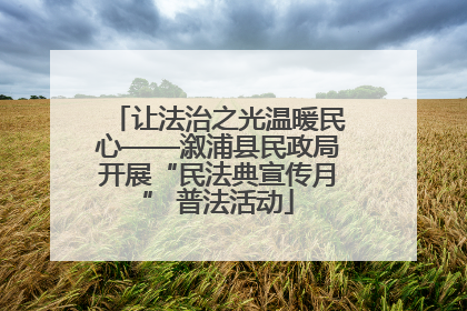 让法治之光温暖民心——溆浦县民政局开展“民法典宣传月” 普法活动