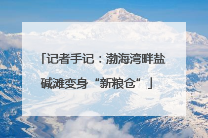 记者手记：渤海湾畔盐碱滩变身“新粮仓”