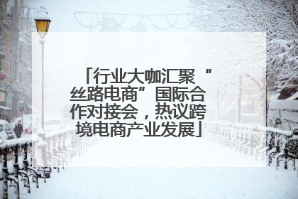 行业大咖汇聚“丝路电商”国际合作对接会，热议跨境电商产业发展