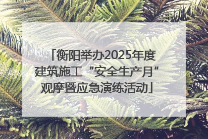 衡阳举办2025年度建筑施工“安全生产月”观摩暨应急演练活动