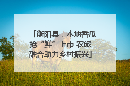 衡阳县：本地香瓜抢“鲜”上市 农旅融合助力乡村振兴