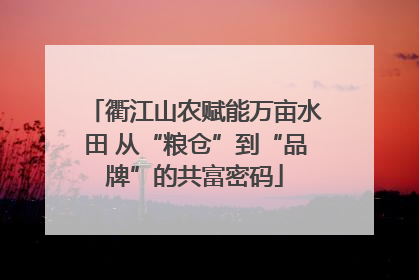 衢江山农赋能万亩水田 从“粮仓”到“品牌”的共富密码