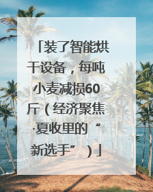 装了智能烘干设备，每吨小麦减损60斤（经济聚焦·夏收里的“新选手”）