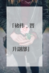 褚伟，晋升副部