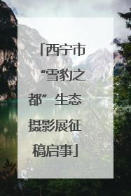 西宁市“雪豹之都”生态摄影展征稿启事