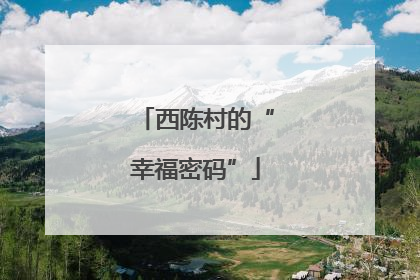 西陈村的“幸福密码”