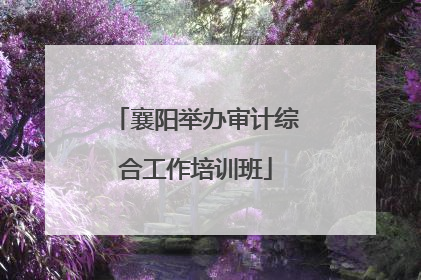 襄阳举办审计综合工作培训班