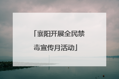襄阳开展全民禁毒宣传月活动
