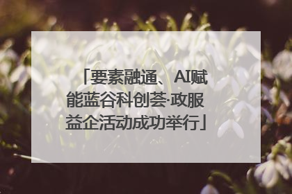 要素融通、AI赋能蓝谷科创荟·政服益企活动成功举行