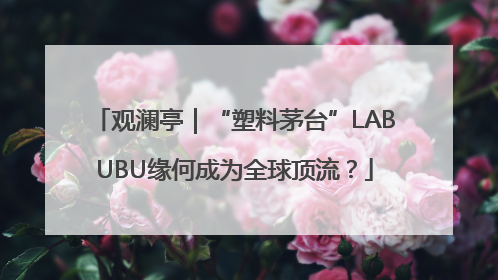 观澜亭｜“塑料茅台”LABUBU缘何成为全球顶流？
