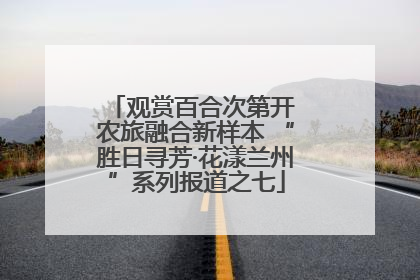 观赏百合次第开 农旅融合新样本 “胜日寻芳·花漾兰州”系列报道之七