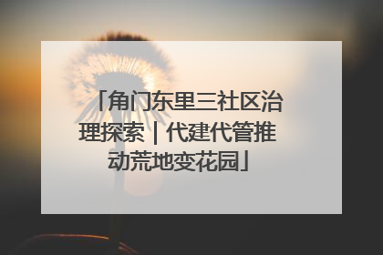 角门东里三社区治理探索｜代建代管推动荒地变花园