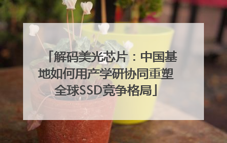 解码美光芯片：中国基地如何用产学研协同重塑全球SSD竞争格局