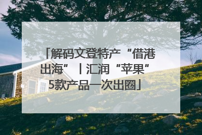 解码文登特产“借港出海”丨汇润“苹果”5款产品一次出圈