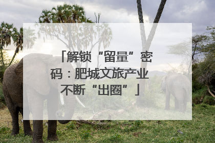 解锁“留量”密码：肥城文旅产业不断“出圈”