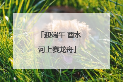 迎端午 酉水河上赛龙舟