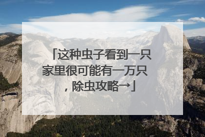 这种虫子看到一只家里很可能有一万只，除虫攻略→