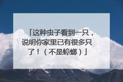 这种虫子看到一只，说明你家里已有很多只了！（不是蟑螂）