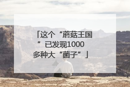 这个“蘑菇王国”已发现1000多种大“菌子”