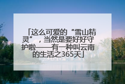 这么可爱的“雪山精灵”，当然是要好好守护啦——有一种叫云南的生活之365天