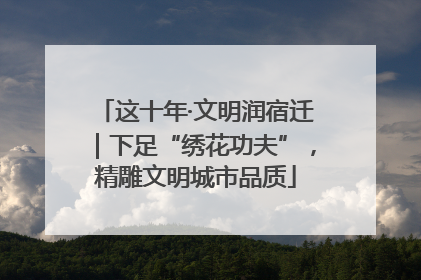 这十年·文明润宿迁｜下足“绣花功夫”，精雕文明城市品质