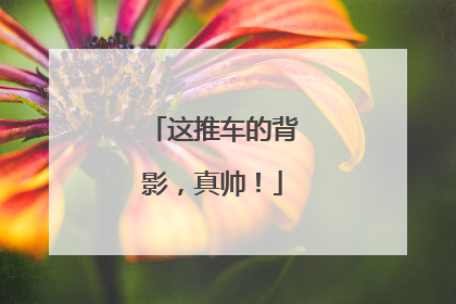 这推车的背影，真帅！
