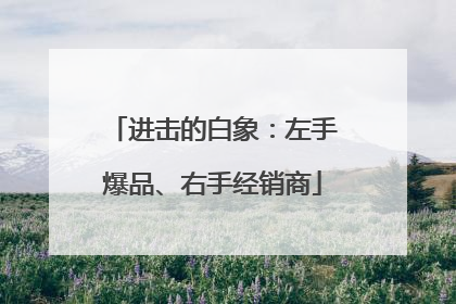 进击的白象：左手爆品、右手经销商