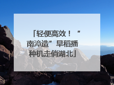 轻便高效！“南漳造”旱稻播种机走俏湖北