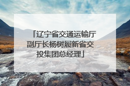 辽宁省交通运输厅副厅长杨树履新省交投集团总经理