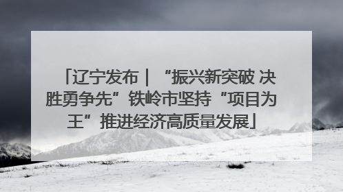 辽宁发布｜“振兴新突破 决胜勇争先”铁岭市坚持“项目为王”推进经济高质量发展