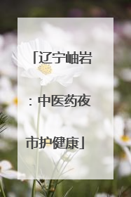 辽宁岫岩：中医药夜市护健康