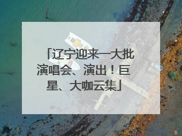 辽宁迎来一大批演唱会、演出！巨星、大咖云集