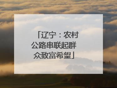 辽宁：农村公路串联起群众致富希望