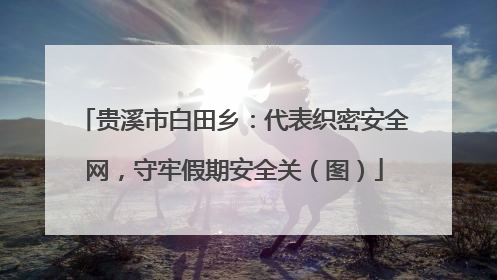 贵溪市白田乡：代表织密安全网，守牢假期安全关（图）