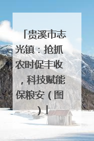 贵溪市志光镇：抢抓农时促丰收，科技赋能保粮安（图）