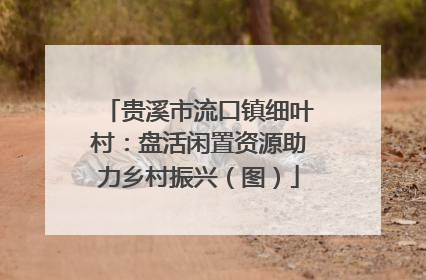 贵溪市流口镇细叶村：盘活闲置资源助力乡村振兴（图）