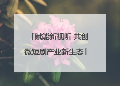 赋能新视听 共创微短剧产业新生态