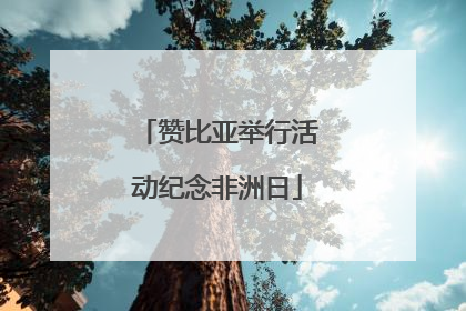 赞比亚举行活动纪念非洲日