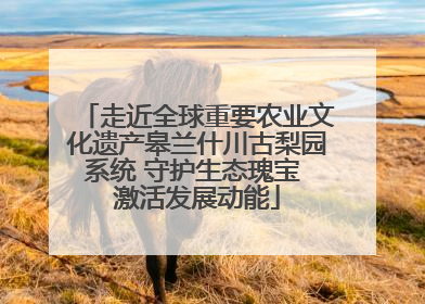 走近全球重要农业文化遗产皋兰什川古梨园系统 守护生态瑰宝 激活发展动能