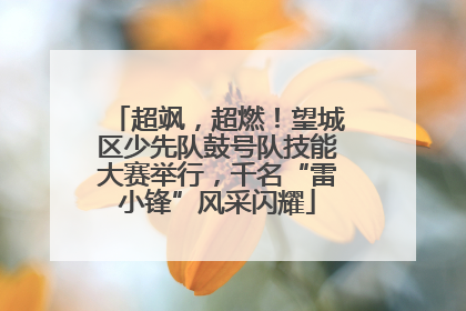 超飒，超燃！望城区少先队鼓号队技能大赛举行，千名“雷小锋”风采闪耀
