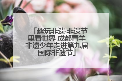 趣玩非遗·非遗节里看世界 成都青羊非遗少年走进第九届国际非遗节