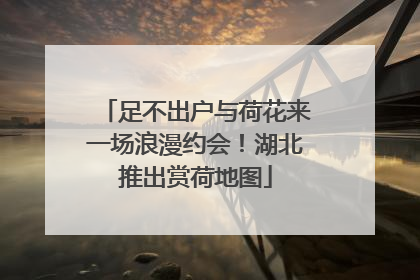 足不出户与荷花来一场浪漫约会！湖北推出赏荷地图