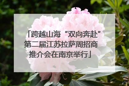 跨越山海“双向奔赴” 第二届江苏拉萨周招商推介会在南京举行