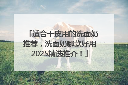 适合干皮用的洗面奶推荐，洗面奶哪款好用2025精选推介！