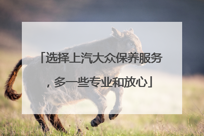 选择上汽大众保养服务，多一些专业和放心
