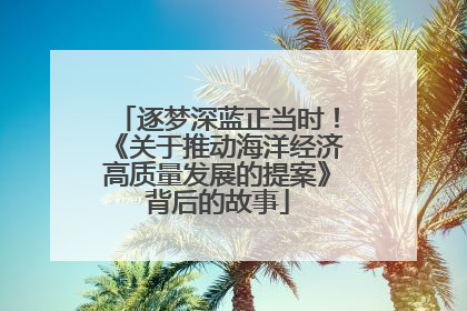 逐梦深蓝正当时！《关于推动海洋经济高质量发展的提案》背后的故事